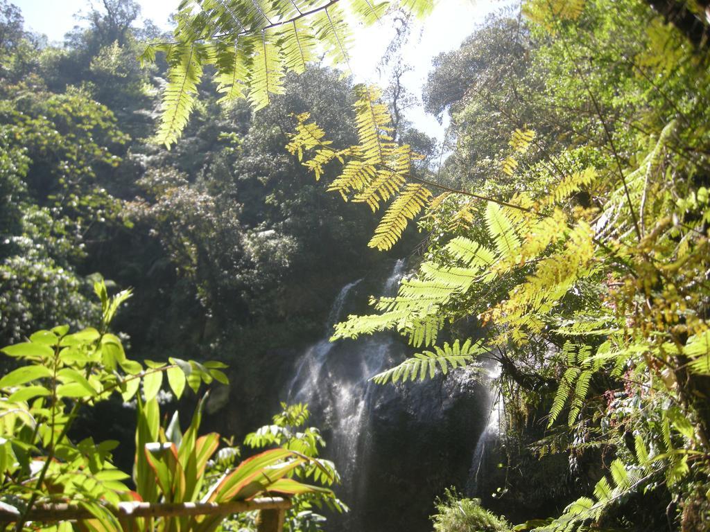 Posada Ammi Cuetzalan Ngoại thất bức ảnh